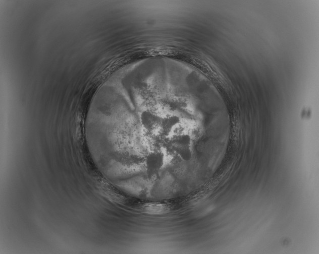 X0000097750169200803281618