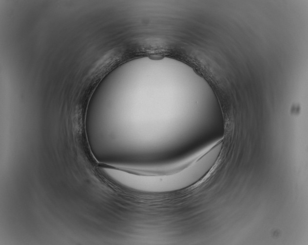 X0000097750170200803281618