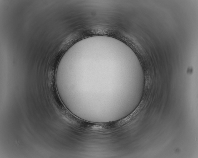 X0000097750171200803281618