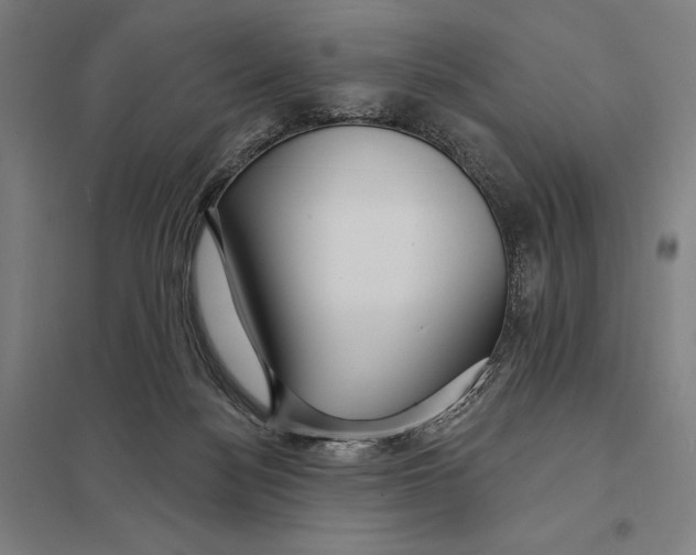 X0000097750172200803281618