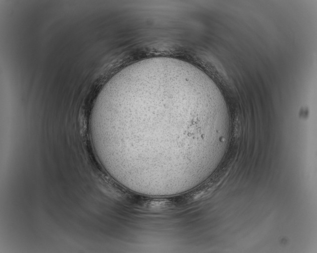 X0000097750173200803281618