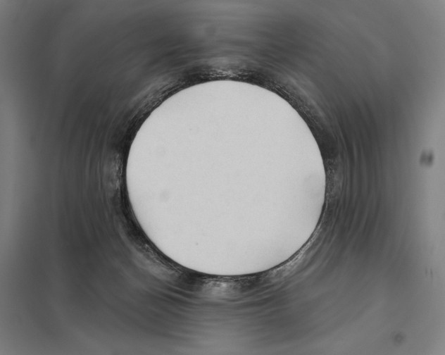 X0000097750174200803281618