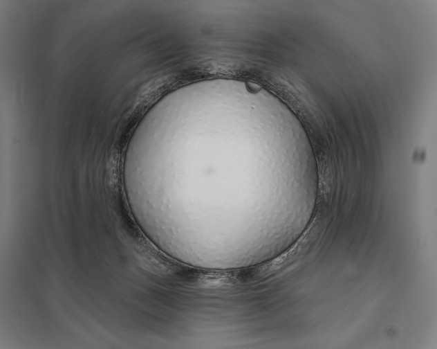 X0000097750175200803281618