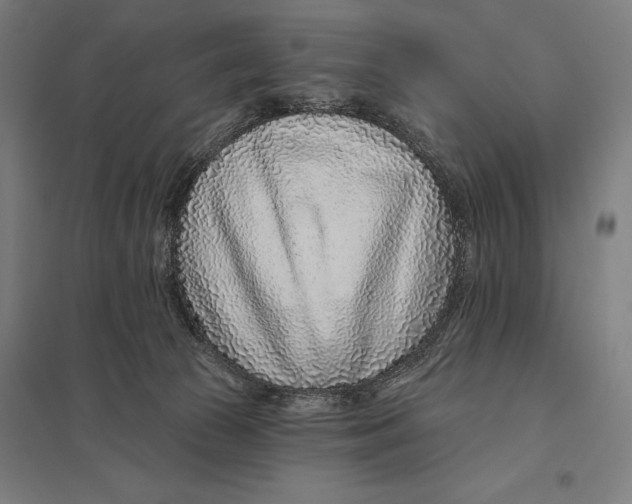 X0000097750177200803281618