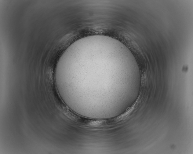 X0000097750178200803281618