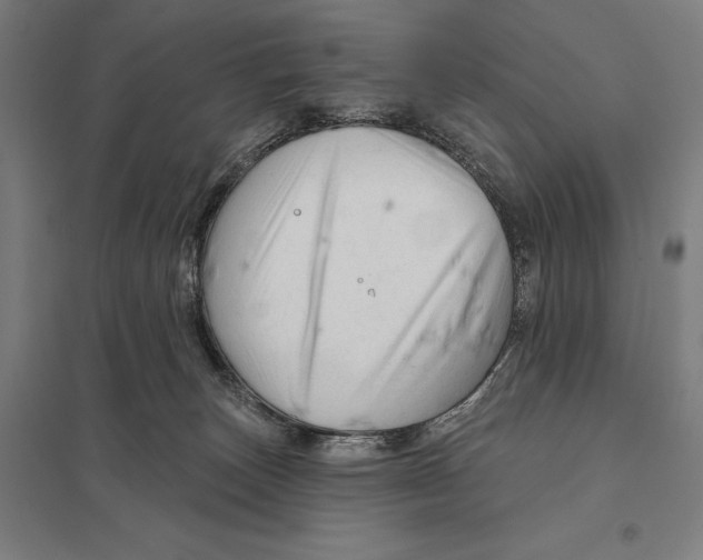 X0000097750179200803281618