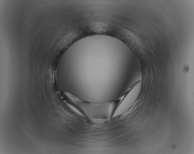 X0000097750180200803281618