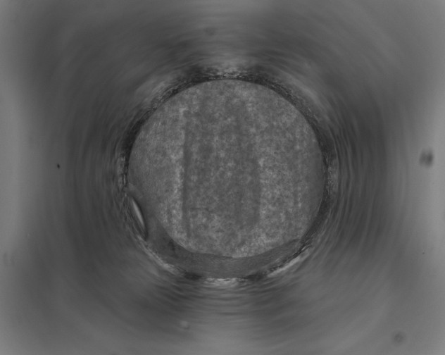 X0000097750181200803281618