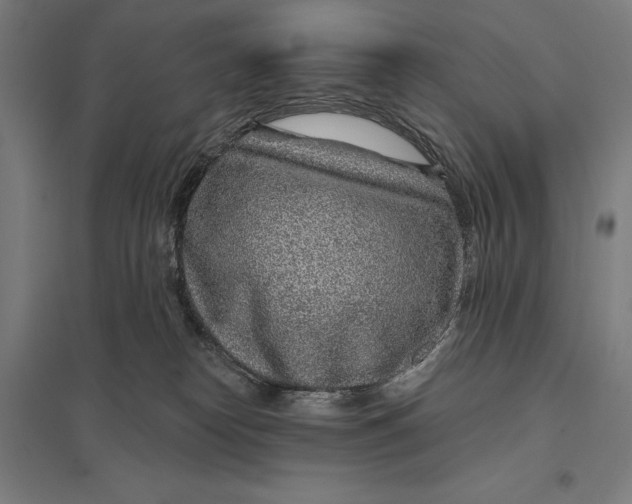 X0000097750182200803281618