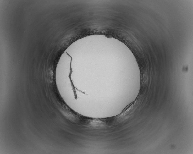 X0000097750183200803281618