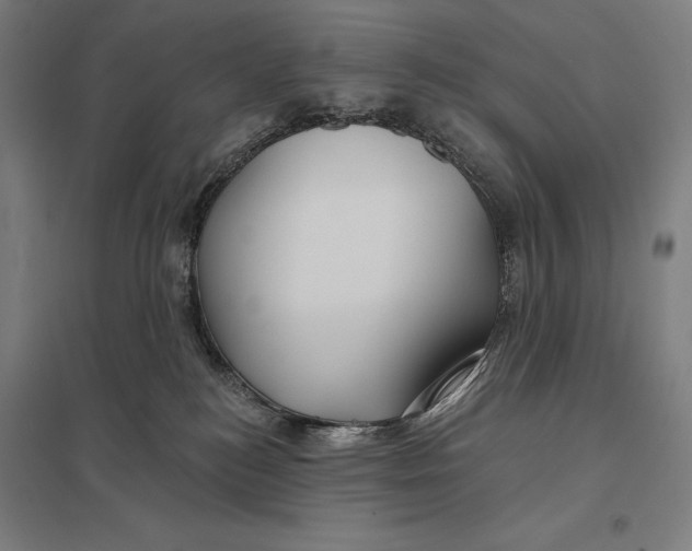 X0000097750184200803281619