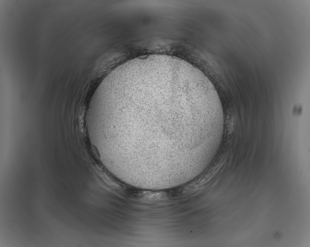 X0000097750185200803281619