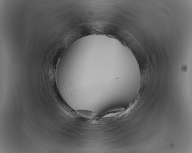 X0000097750186200803281619