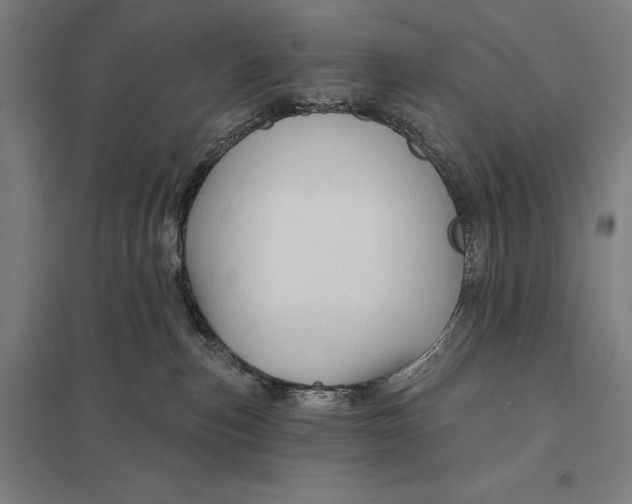 X0000097750187200803281619