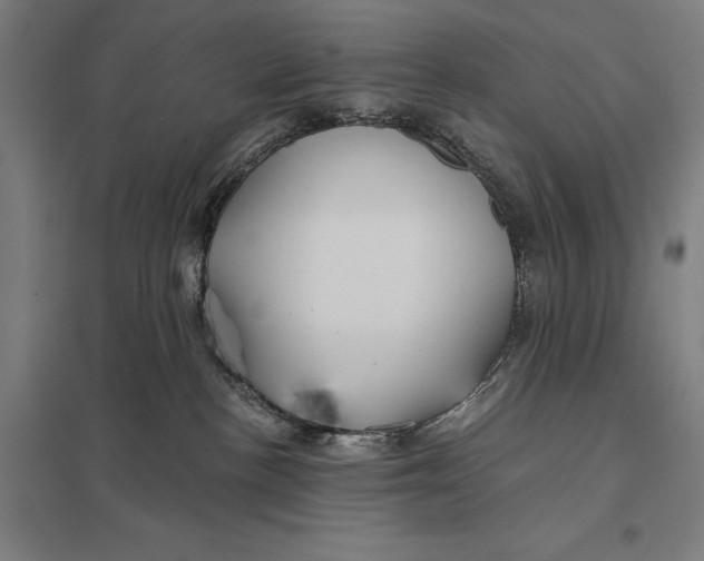 X0000097750188200803281619