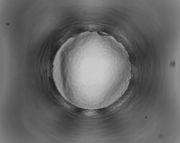 X0000097750189200803281619