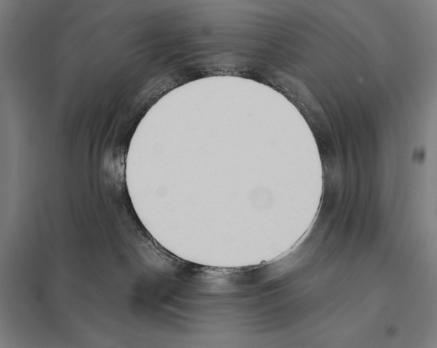 X0000097750190200803281619