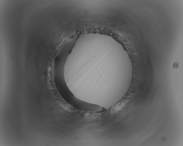 X0000097750192200803281619