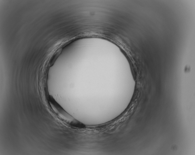 X0000097750193200803281618