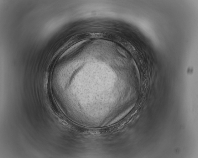 X0000097750194200803281618