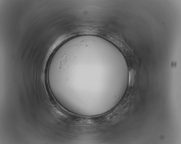 X0000097750195200803281618