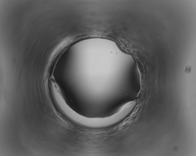 X0000097750197200803281618