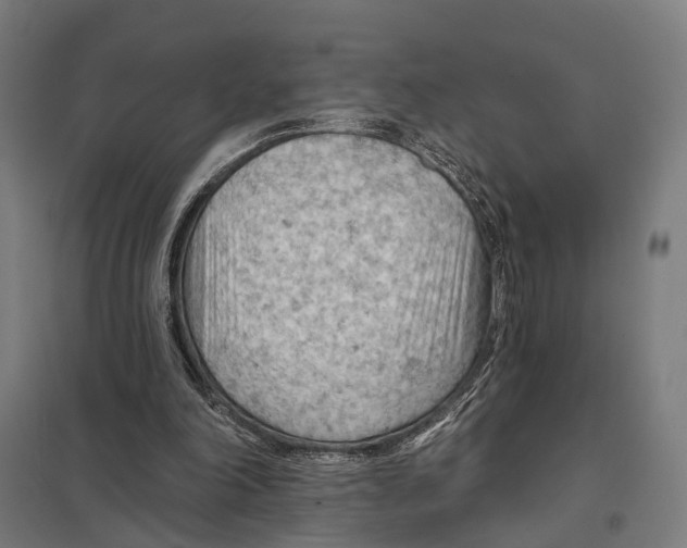 X0000097750198200803281618