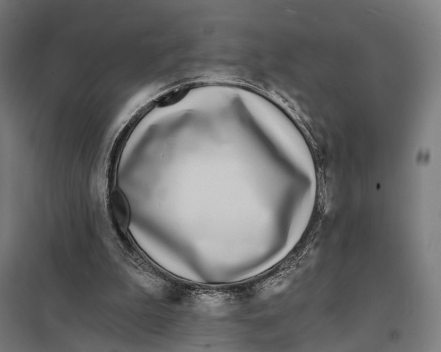 X0000097750199200803281618