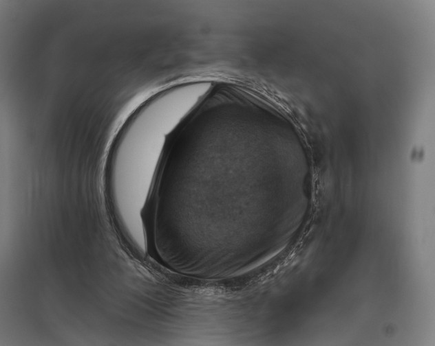 X0000097750200200803281618