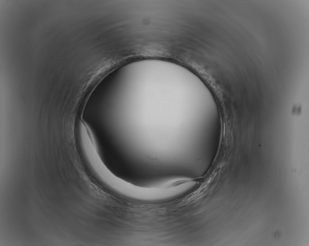 X0000097750201200803281618