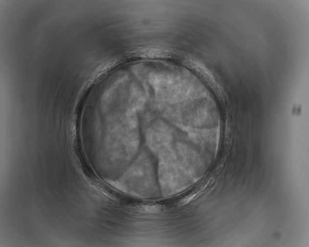 X0000097750202200803281618