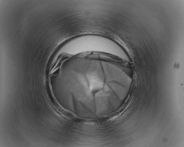 X0000097750203200803281618