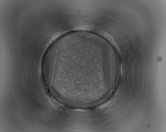 X0000097750204200803281618