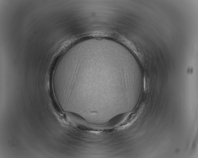 X0000097750205200803281618