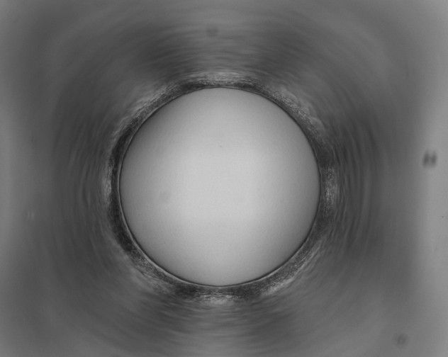 X0000097750206200803281618