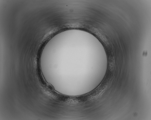 X0000097750207200803281618