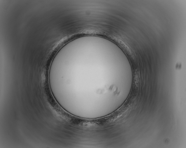 X0000097750208200803281618