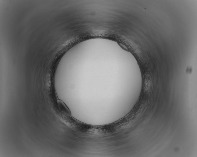 X0000097750211200803281618