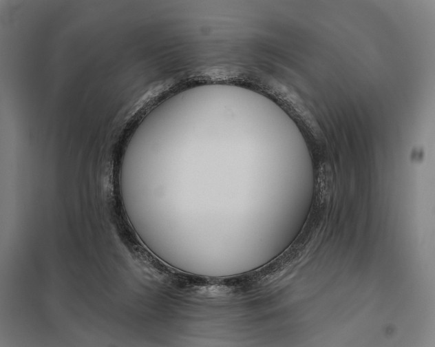 X0000097750212200803281618