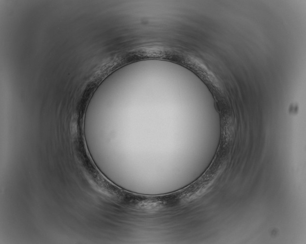 X0000097750213200803281618