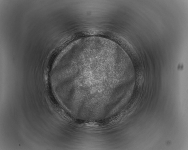 X0000097750214200803281617