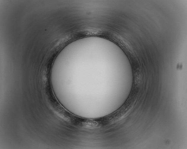 X0000097750215200803281617