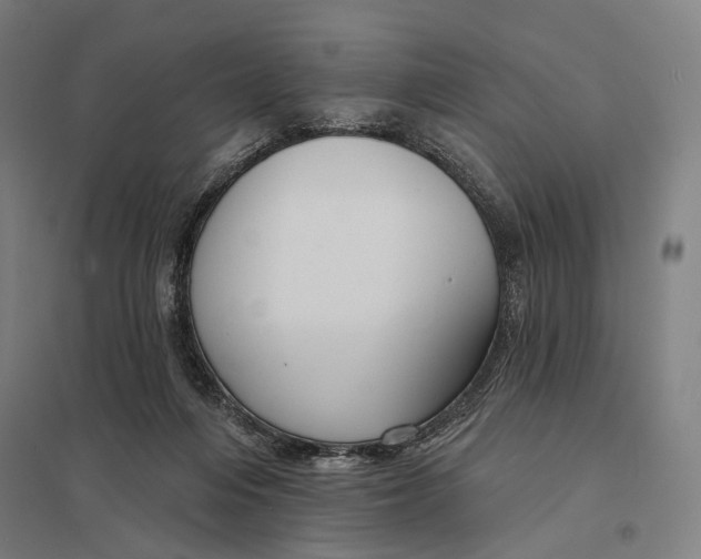 X0000097750216200803281617