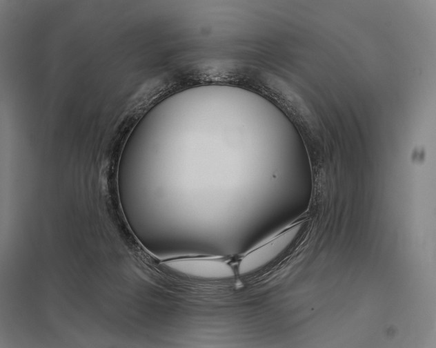 X0000097750217200803281617