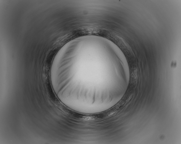 X0000097750218200803281617