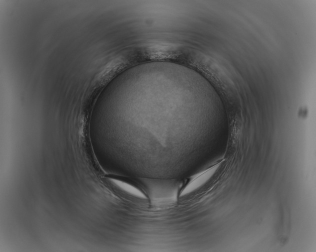 X0000097750219200803281617