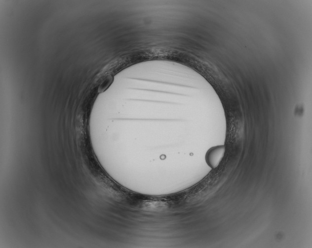 X0000097750220200803281617