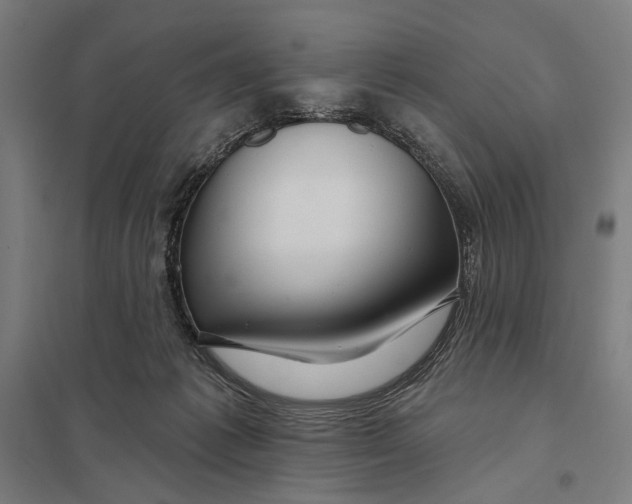 X0000097750221200803281617