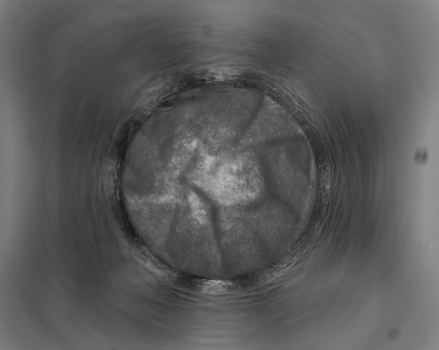 X0000097750222200803281617