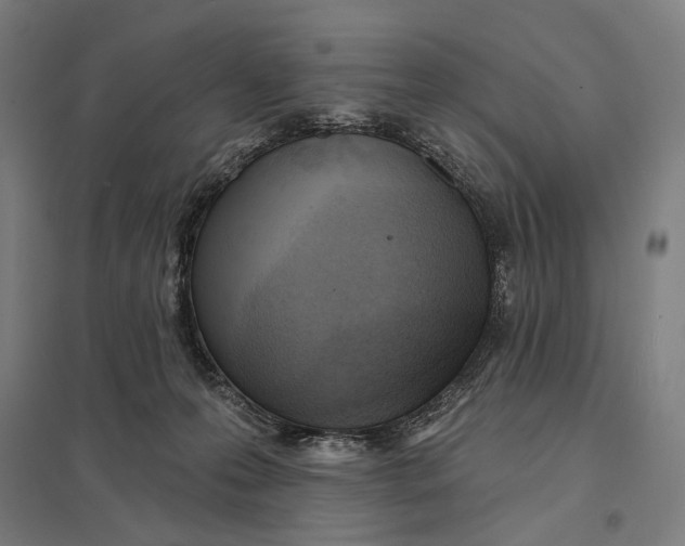 X0000097750223200803281617